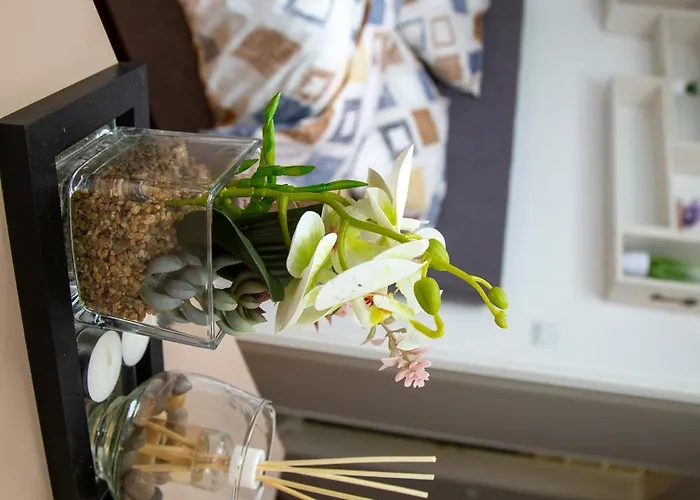 Asi Old Town Cozy Nest Sarajevo